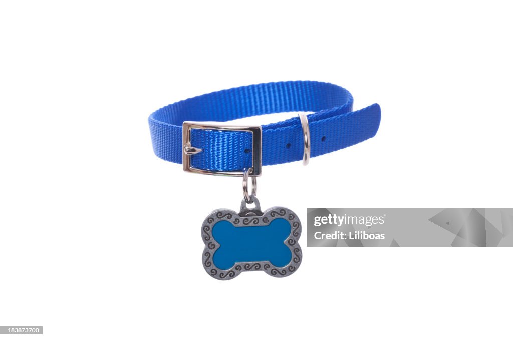 Dog Collar with Tag