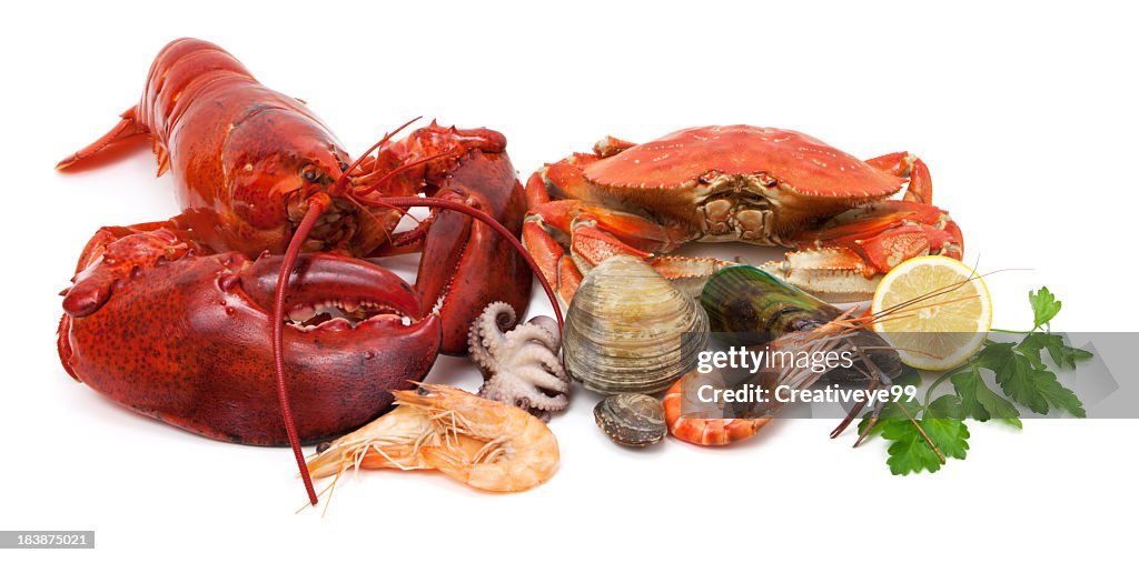 Variedad de pescados y mariscos