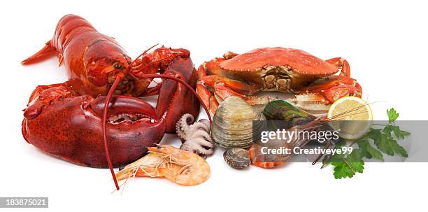 variedad de pescados y mariscos - crab fotografías e imágenes de stock