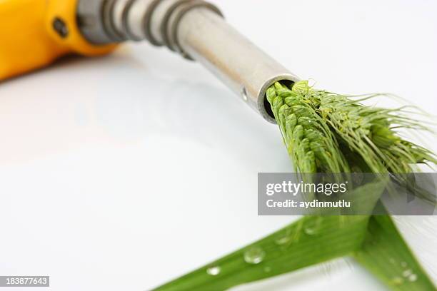 eco fuel concept with wheat coming out of a gas pump - biofuels stock pictures, royalty-free photos & images