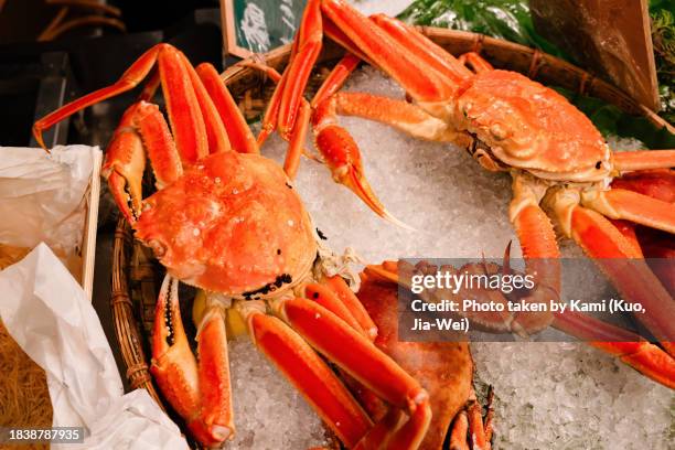 cooked snow crabs - alaskan king crab foto e immagini stock