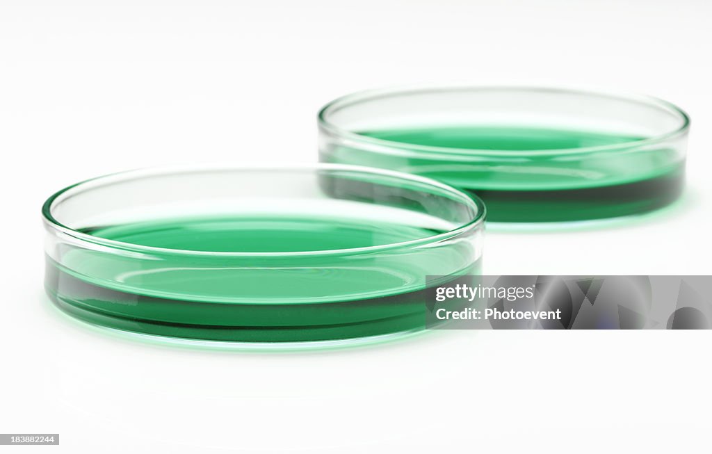 Petri Dishes