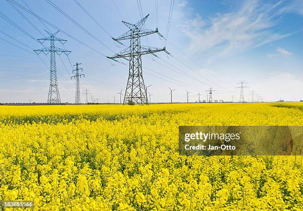 high voltage power line - electricity pylon 個照片及圖片檔