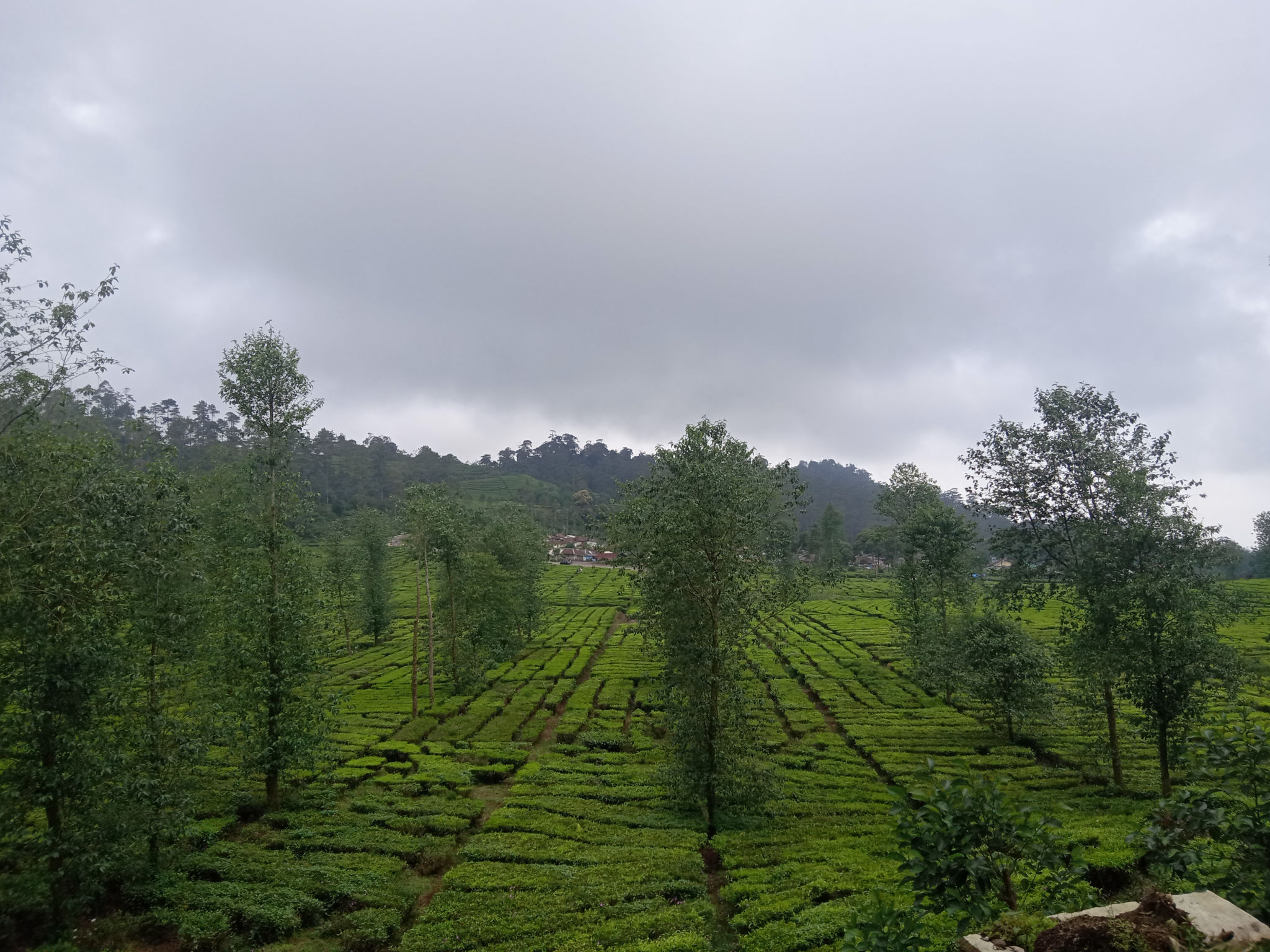 rainy season bandung