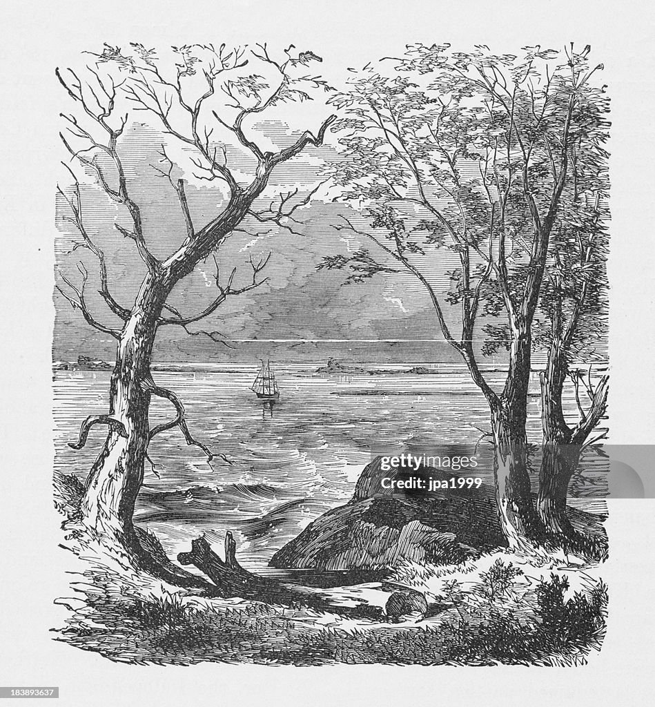 19th century illustration of Plymouth Rock