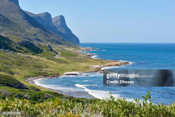 the wilderness of cape point national park - cape point stock pictures, royalty-free photos & images
