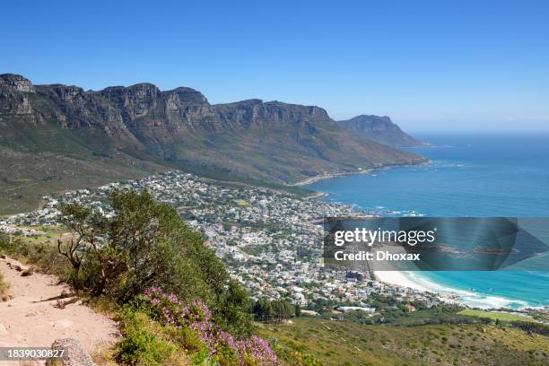 mountain trails - lion's head and table mountaion - sea point cape town stock pictures, royalty-free photos & images