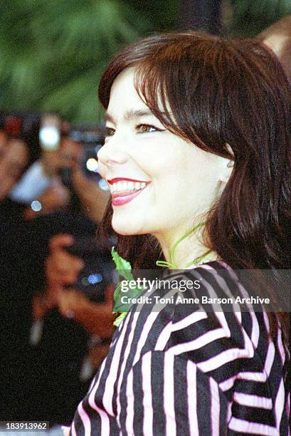 Bjork during 53rd Cannes Film Festival - The Red Carpet at Palais des Festivals in Cannes, France.