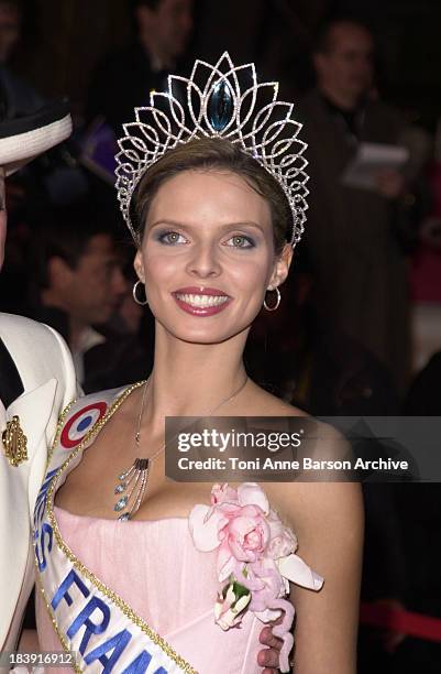 1 087 Sylvie Tellier Miss France Photos High Res Pictures Getty Images 1-087-sylvie-tellier-miss-france-photos-high-res-pictures-getty-images