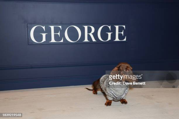 George attends the exhibition opening preview of "Dogs with Jobs" by Rankin hosted by George, The Caring Family Foundation and The Kennel Club...