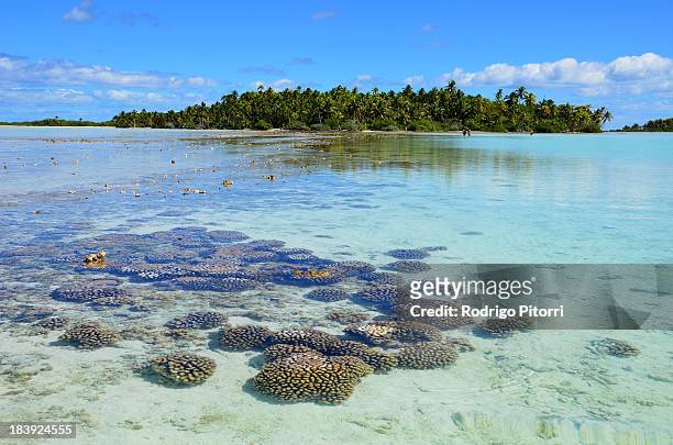 rangiroa - blue lagoon - rodrigo pitorri stock pictures, royalty-free photos & images
