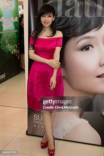 Vivian Chow poses for photographers during the Suisse programme press conference at Sasa on October 10, 2013 in Singapore.