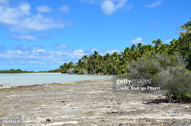 rangiroa - bird island - rodrigo pitorri stock pictures, royalty-free photos & images