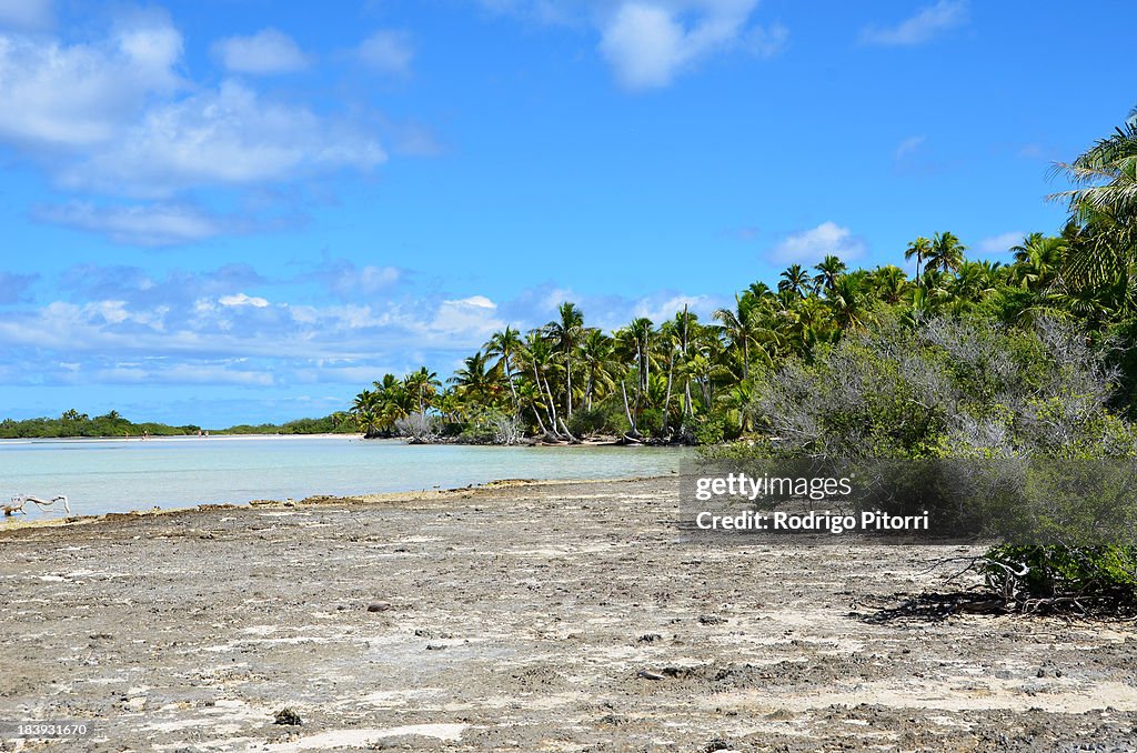 Rangiroa - Bird Island