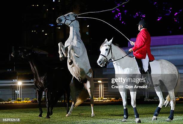 Horses perform as part of a Theatre of the horse ' shown as part of the Gala Launch event to celebrate the new Australian Turf Club Grandstand at...