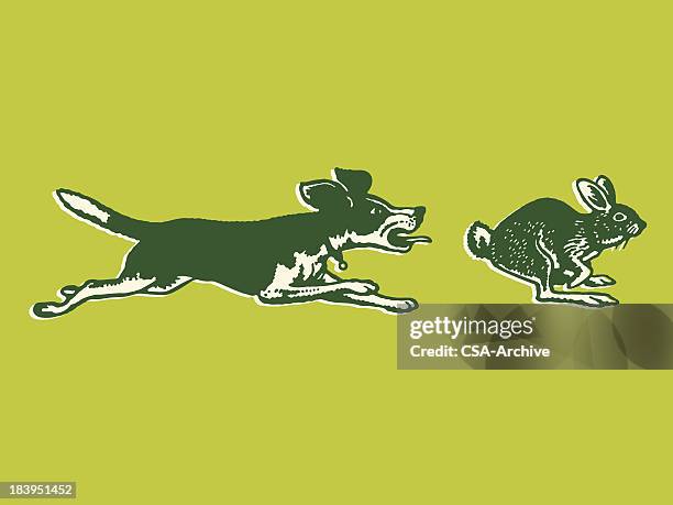 hund verfolgen ein kaninchen - verfolgung stock-grafiken, -clipart, -cartoons und -symbole