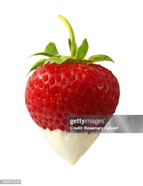 strawberry dipped in double cream - strawberries and cream stock pictures, royalty-free photos & images