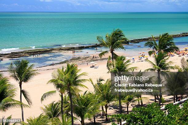 boa viagem beach - recife stock-fotos und bilder