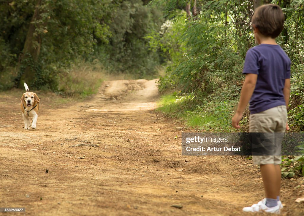 Young boy walking beagle dog in a footpath