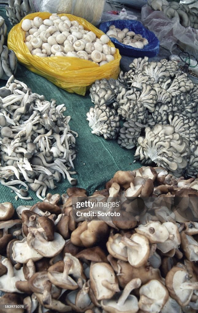 Mushrooms for sale at an outdoor market - Xining - Qinghai Province, China
