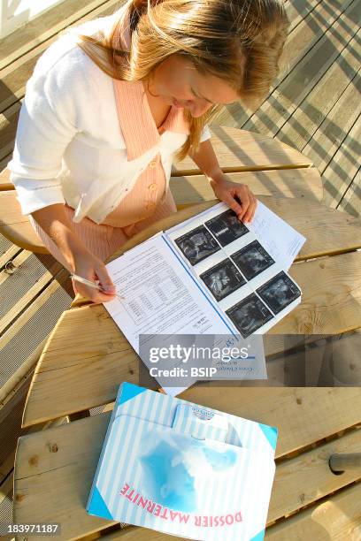 Pregnant Woman, Ultrasonography.