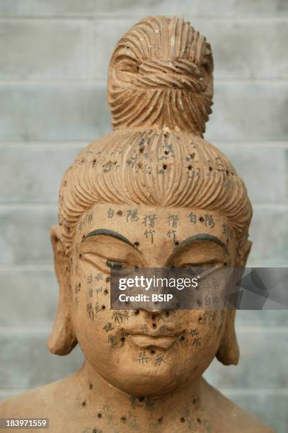 Acupuncture Example 179 Acupuncture Head Model Stock Photos, High-Res Pictures, and Images ...