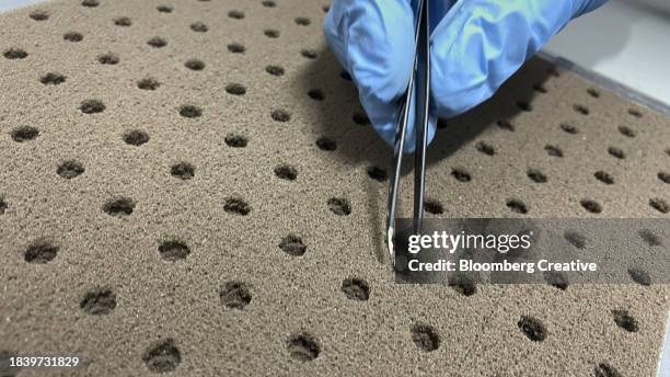 a worker places a lettuce seed in substrate - organic farm stock pictures, royalty-free photos & images