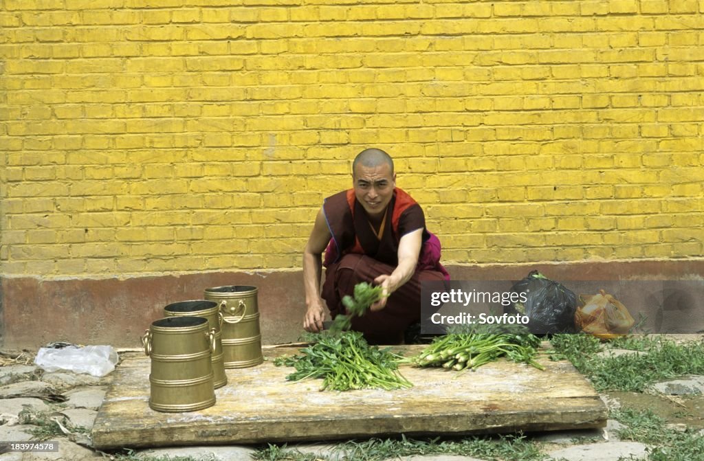Tibetan Buddhist monk cutting vegetables in front of a yellow wall - Tongren - Qinghai Province, China, Tibet