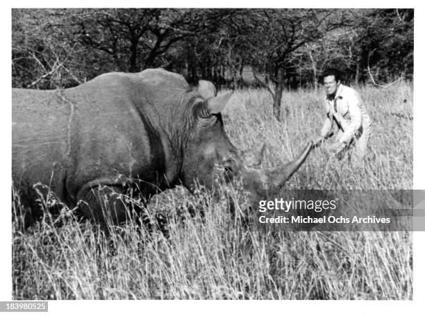 Actor Robert Culp and a rhino on the set of the movie "Rhino!" in 1964.