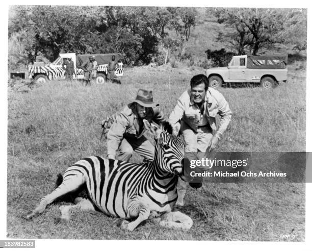 Actor Robert Culp and a zebra on the set of the movie "Rhino!" in 1964.