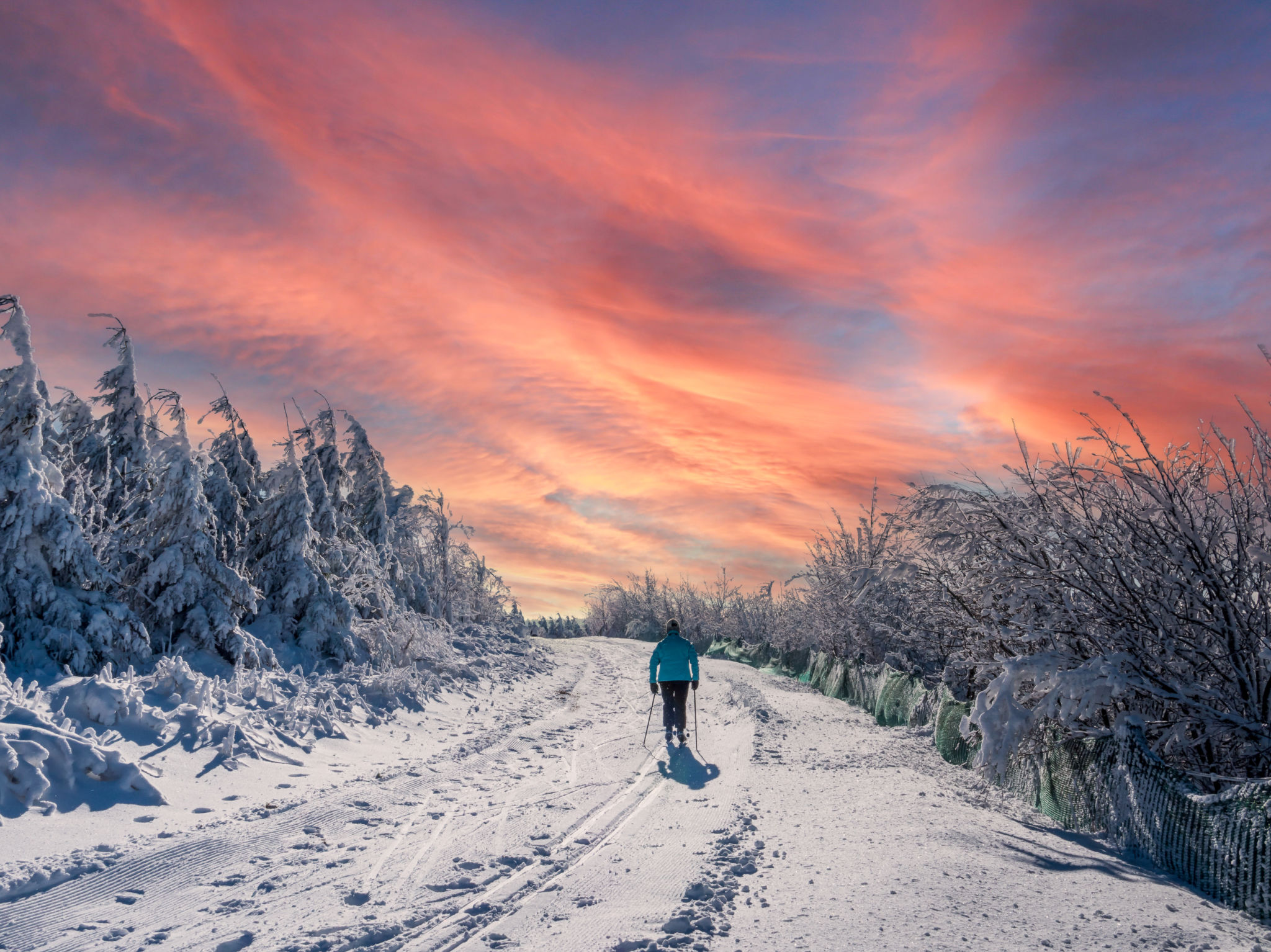 nordic skiing