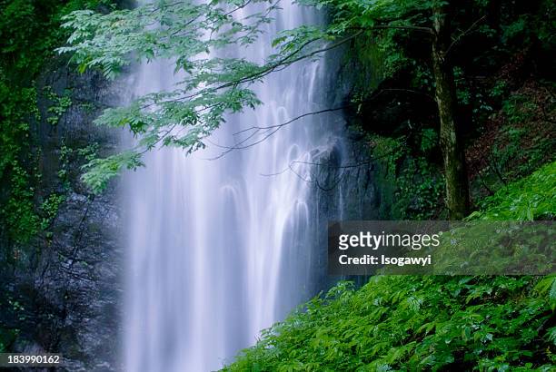 hyakuhiro falls - isogawyi foto e immagini stock