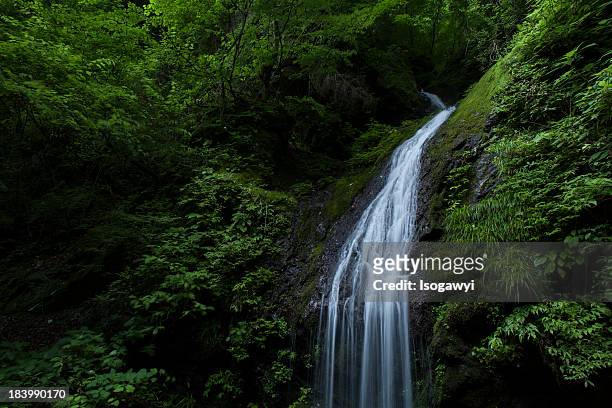 falls - isogawyi stock pictures, royalty-free photos & images