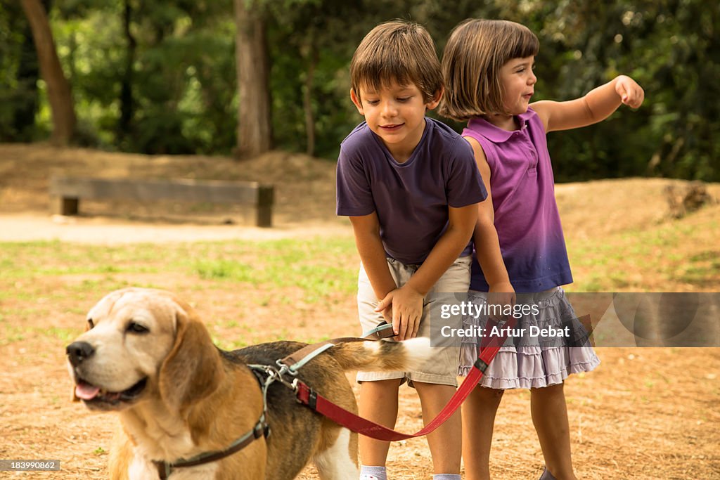 Young boy and girl walking beagle dog in a park.
