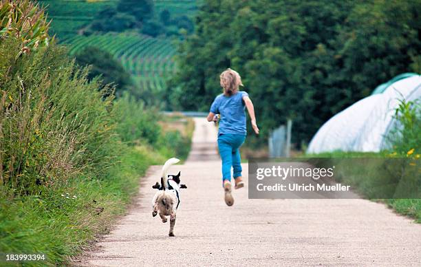 running with the dog - boy running with dog stock pictures, royalty-free photos & images