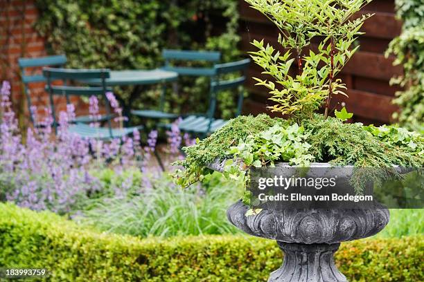 garden vase - poortugaal stock pictures, royalty-free photos & images