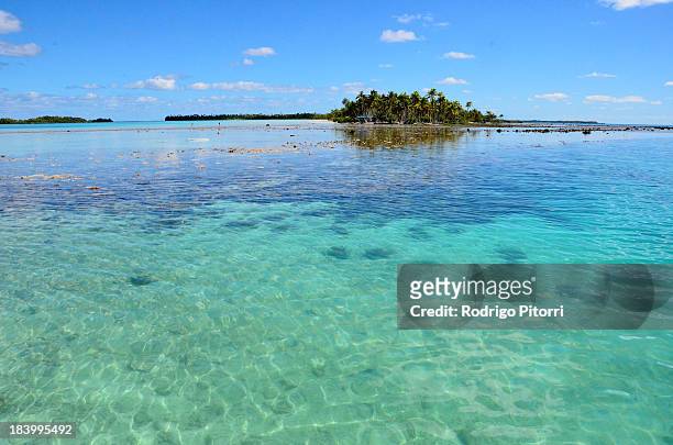 rangiroa - blue lagoon - rodrigo pitorri stock pictures, royalty-free photos & images