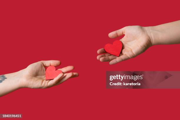 person hands holding wooden hearts - doação de órgãos imagens e fotografias de stock
