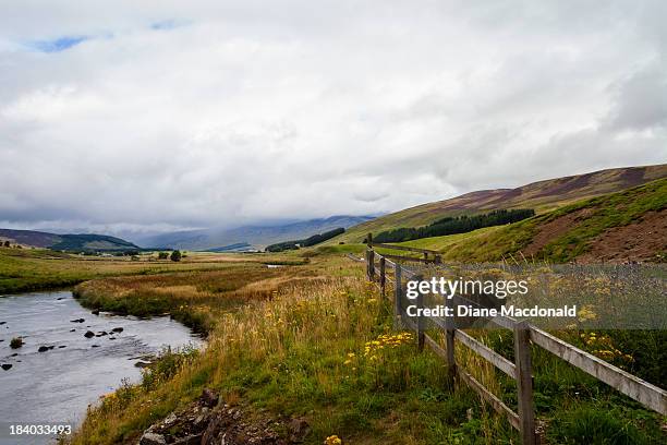 the river south esk, gella bridge - angus stock pictures, royalty-free photos & images