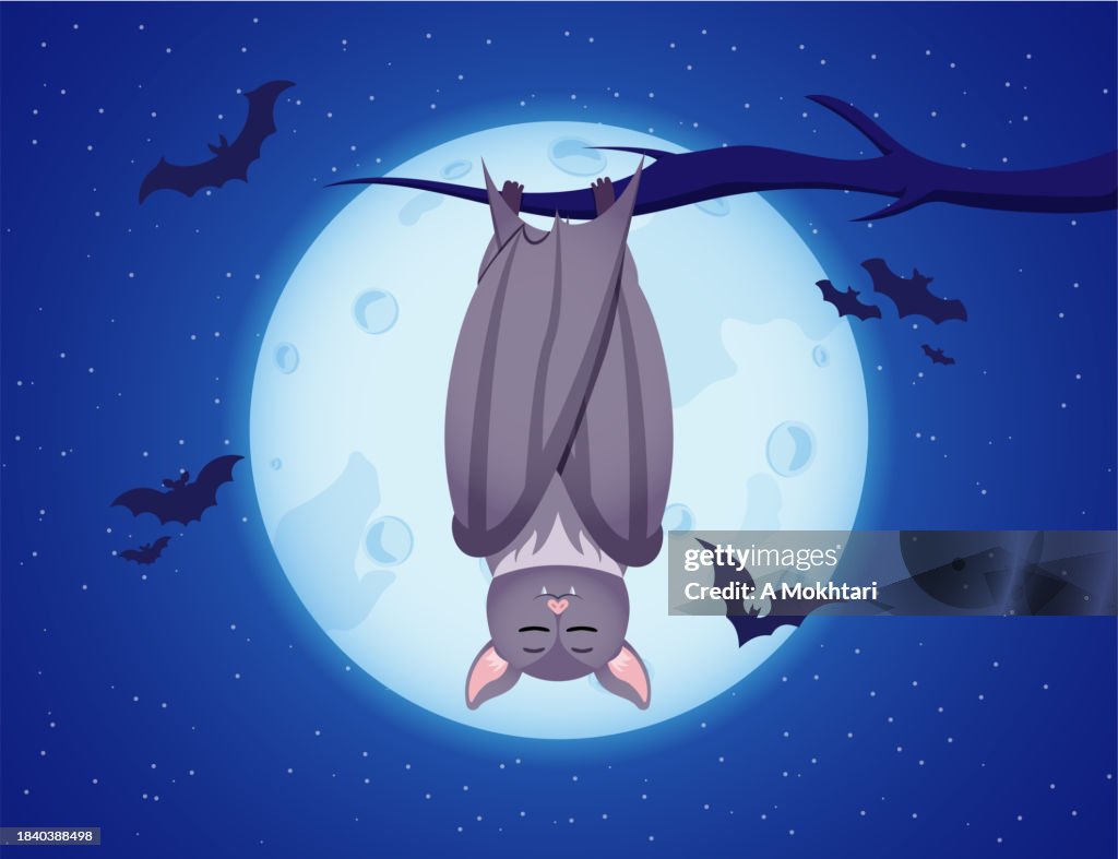 Bat in the middle of the night.