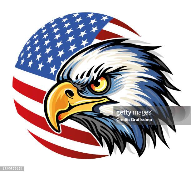 american bald eagle head with american flag illustration - american flag eagle stock illustrations