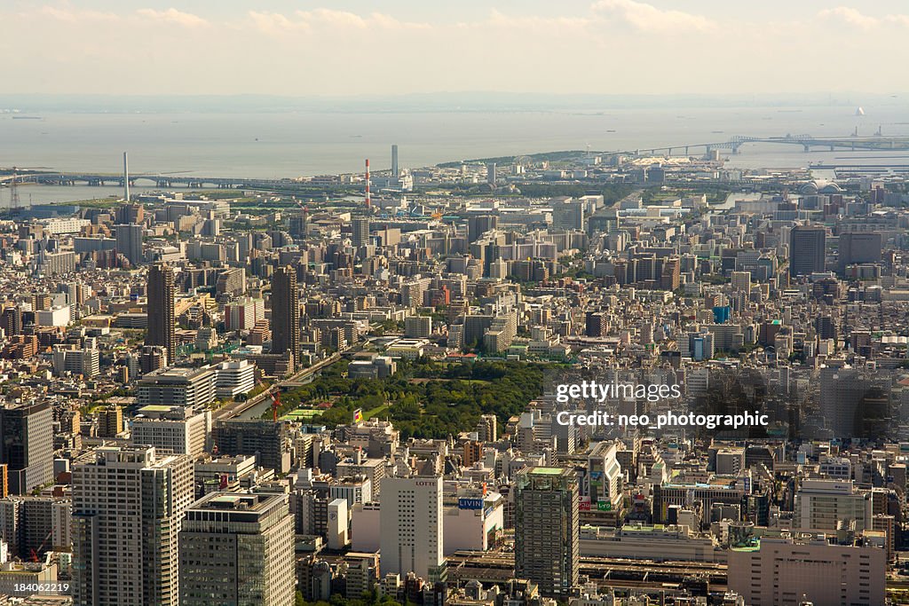 Tokyo Cityscape