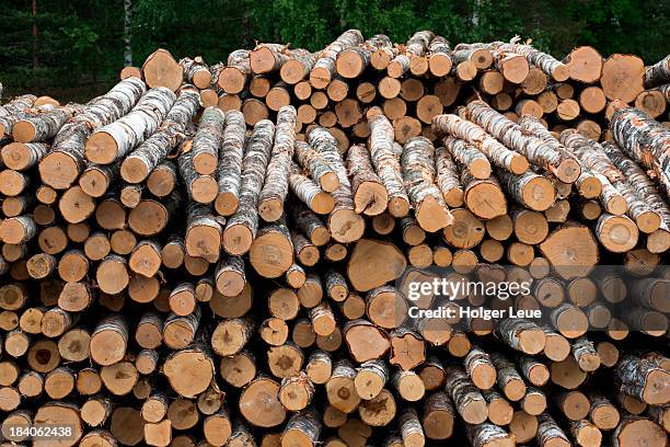 birch tree logs stacked on freighter - brandhout stockfoto's en -beelden