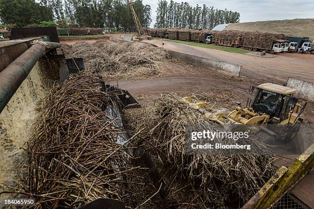 Sugarcane stalks are washed before being crushed at Unidade Industrial Cruz Alta da Guarani SA's processing plant, near Sao Jose do Rio Preto,...