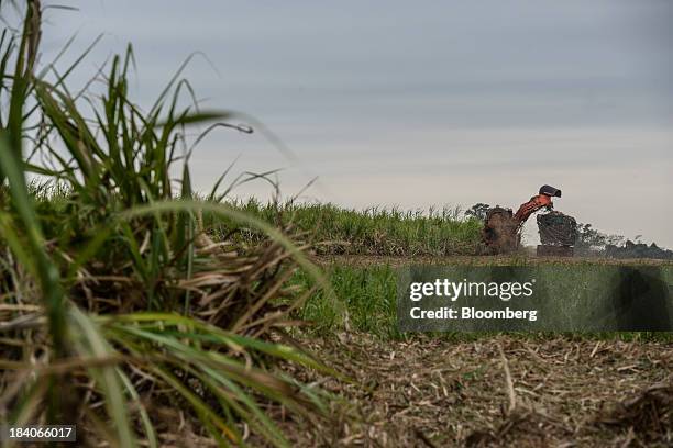 Sugarcane is harvested in a farm belonging to Guarani SA, near Sao Jose do Rio Preto, Brazil, on Tuesday, Oct. 8, 2013. Brazil is the world's largest...