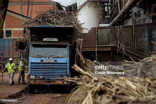 Sugarcane stalks are unloaded to be crushed at Unidade Industrial Cruz Alta da Guarani SA's processing plant, near Sao Jose do Rio Preto, Brazil, on...