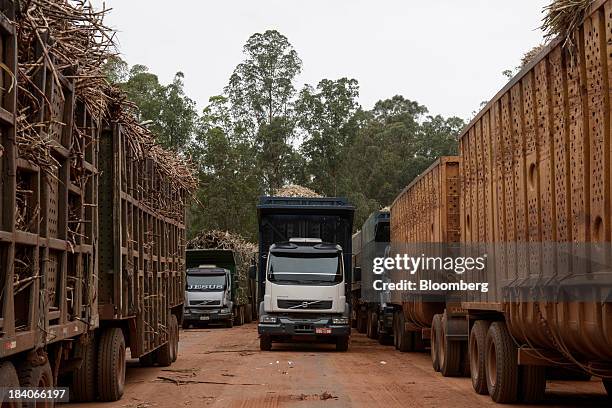 Trucks loaded with sugarcane stalks wait in line to enter the mill at Unidade Industrial Cruz Alta da Guarani SA's processing plant, near Sao Jose do...