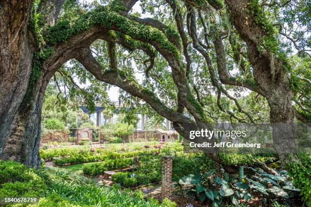 Jacksonville, Florida, Cummer Museum of Art & Gardens, Lower Lawn English Garden along St. Johns River.