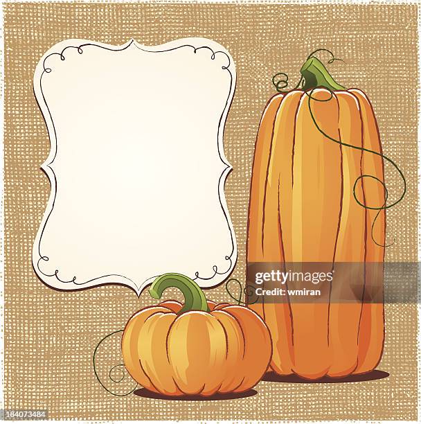 big and small squash trying to solve the blank board dilemma - gourd stock illustrations