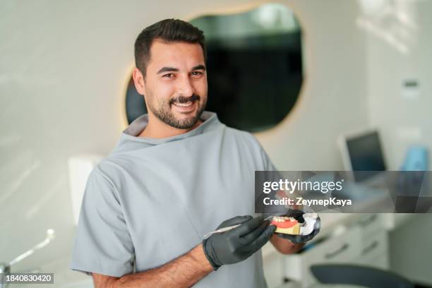 dentist holding a human teeth and jaw model in his hands, looking at the camera. - tandartsassistent stockfoto's en -beelden